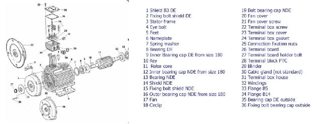 Motor_1